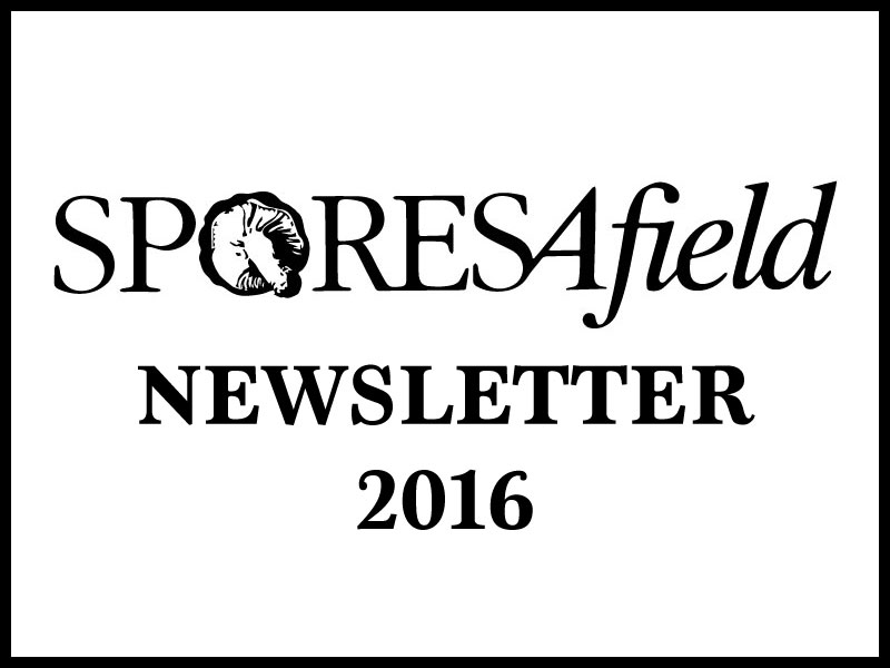 Read more about the article October 2016 | Newsletter