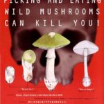 An Overview of Mushroom Poisonings in North America