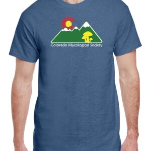 CMS T-shirt: Mountain Indigo