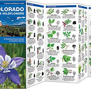 Pocket Guide: Colorado Trees & Wildflowers