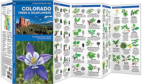 Colorado Trees Wildflowers Guide