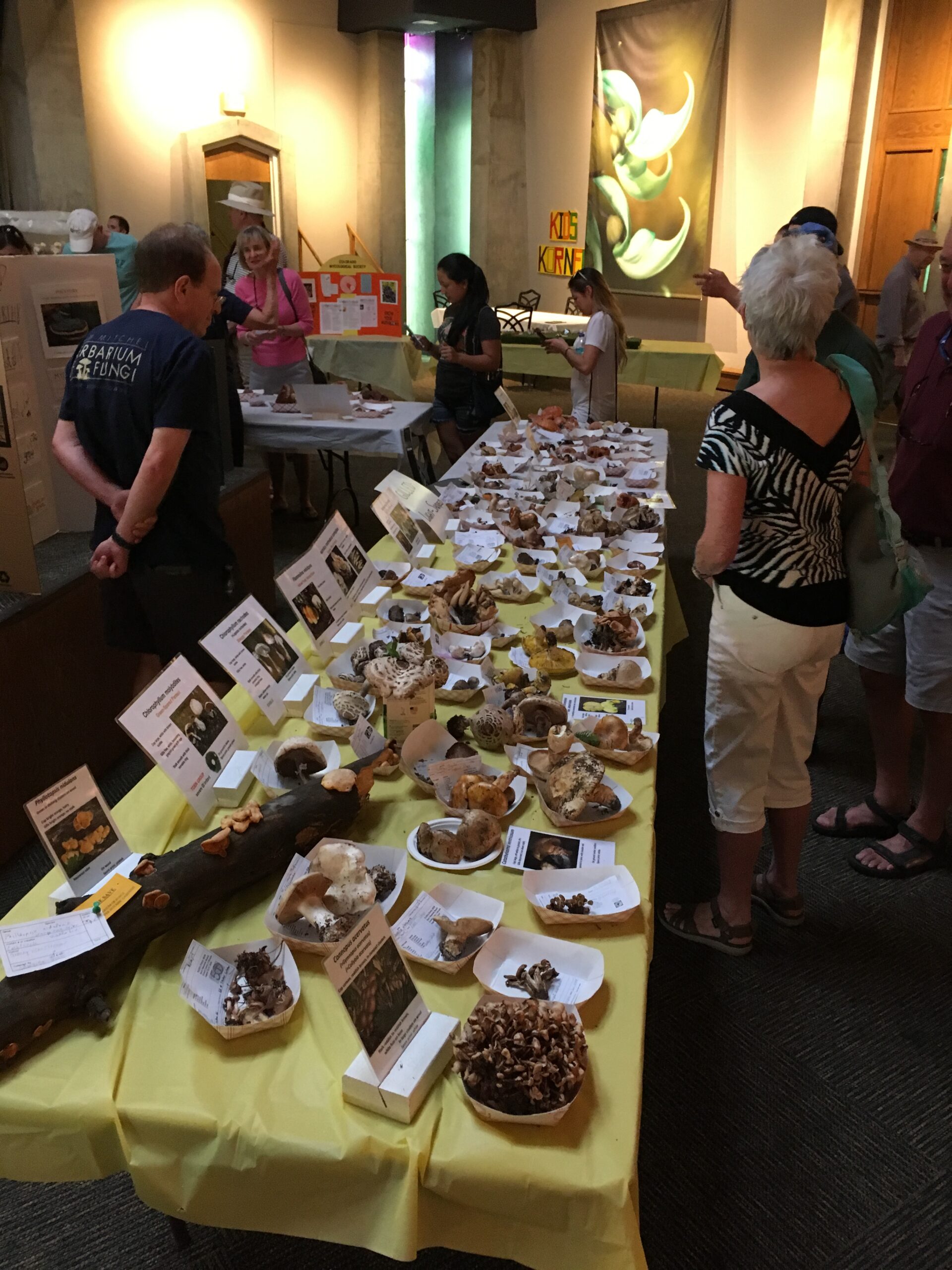 2026 CMS Mushroom Fair