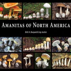 Amanitas of North America