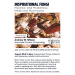 Andrew Wilson - Inspirational Fungi: Mystical and Mysterious Medicinal Mushrooms @ 910 Arts' Mushroom Month