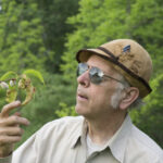 Michael Beug - Medicinal/Culinary Mushrooms: Fantastic Fungi to Save Body, Mind, Spirit, and the Planet.