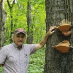 Dr. Robert Blanchette