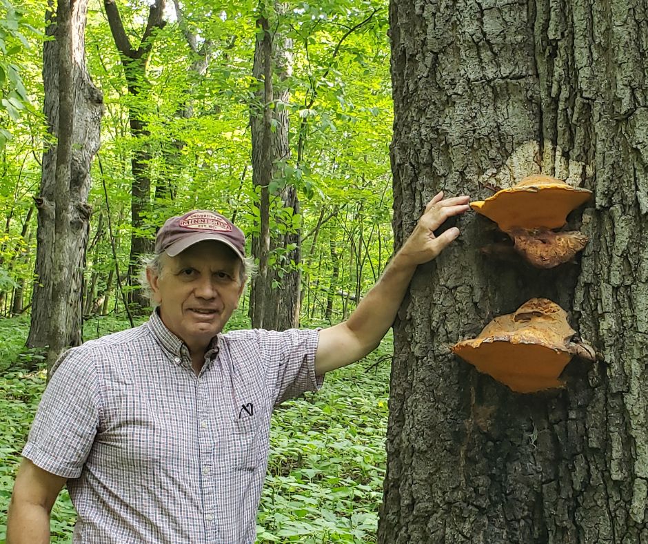 Dr. Robert Blanchette