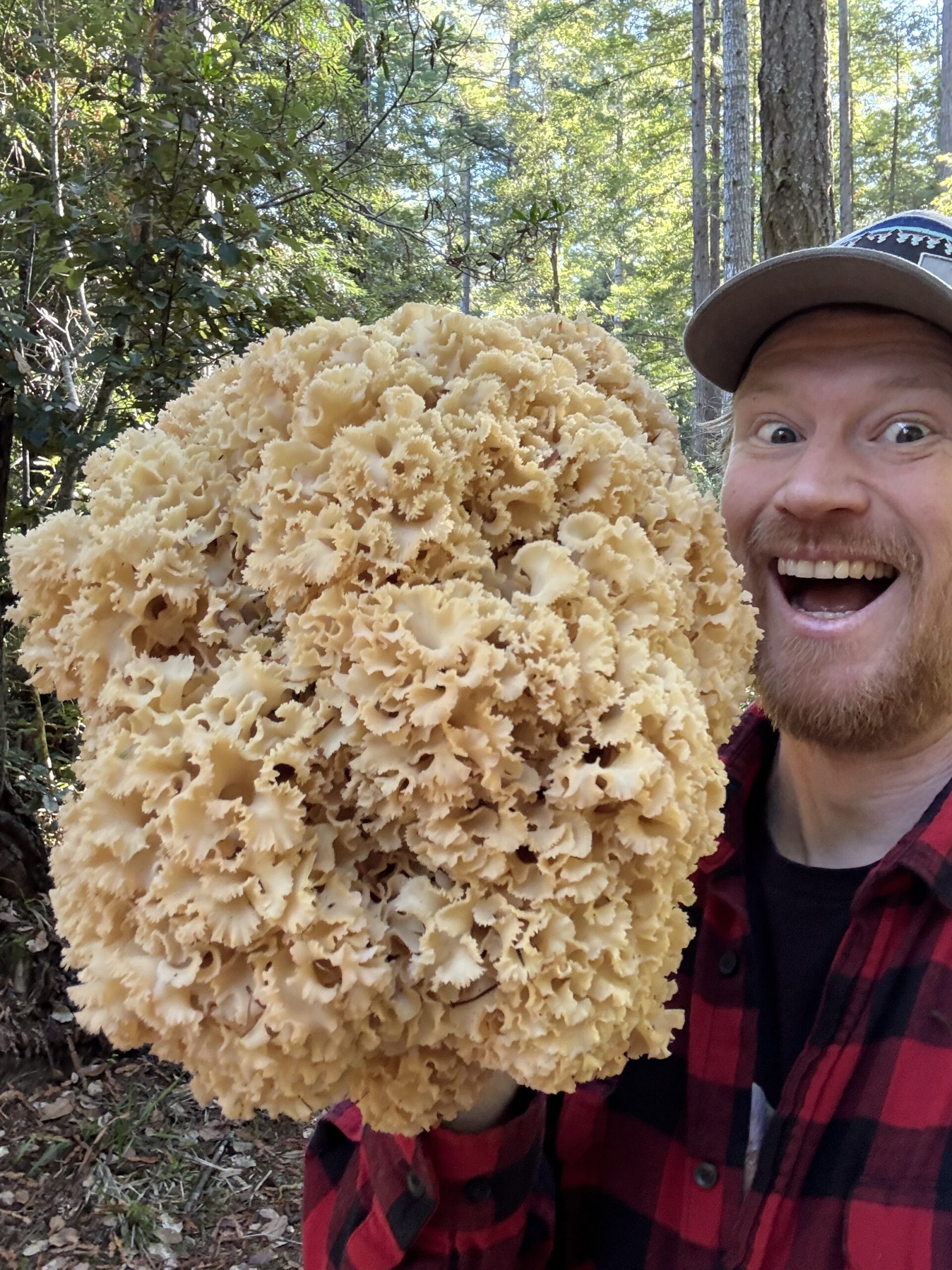 Dr. Gordon Walker: Passport to Kingdom Fungi