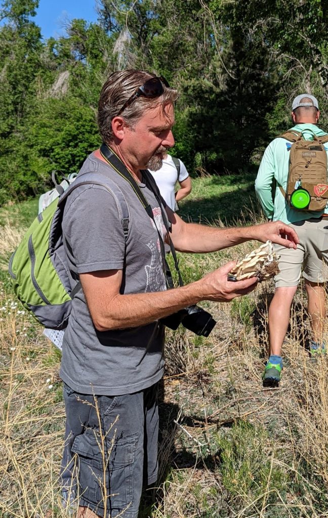 July Meeting - James Chelin: Agaricus of Colorado